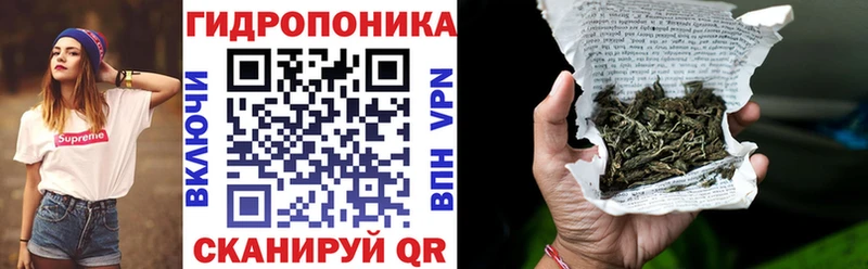 Канабис гибрид  Тотьма 